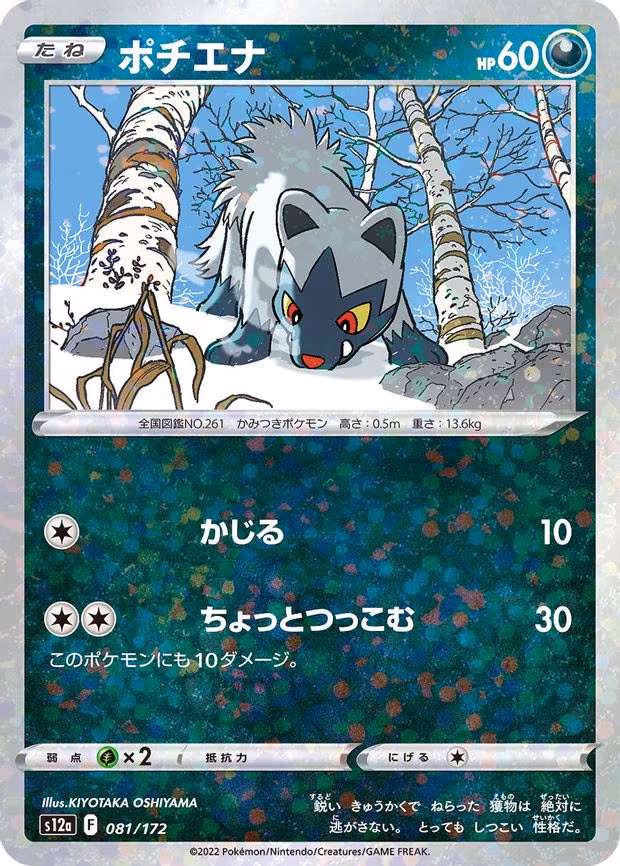 Poochyena - 081/172 (Mirror Holofoil) - None (081/172)