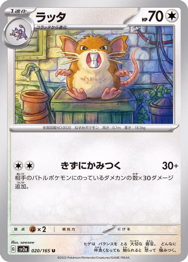 Raticate