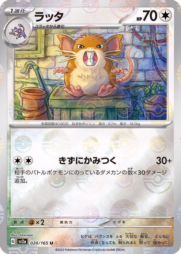 Raticate (Poke Ball Pattern) - Uncommon (020/165)
