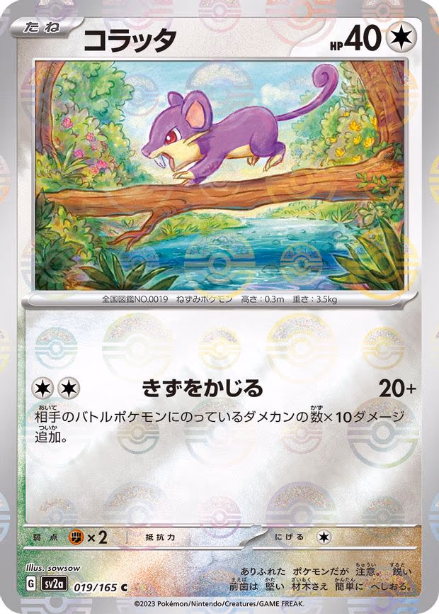 Rattata (Poke Ball Pattern) - Common (019/165)