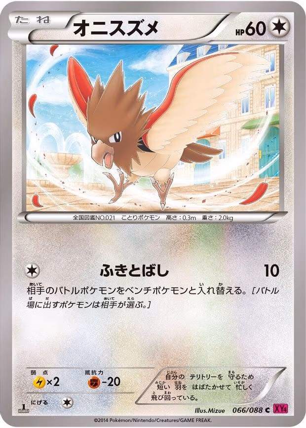 Spearow