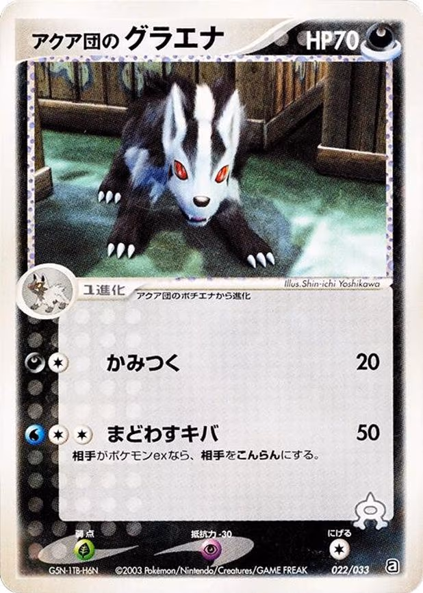 Team Aqua's Mightyena