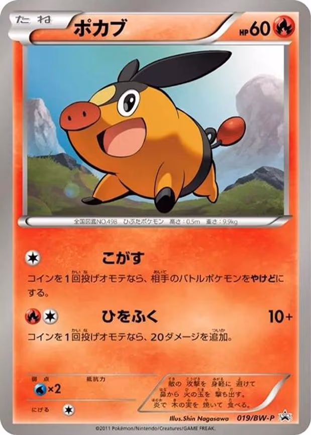 Tepig