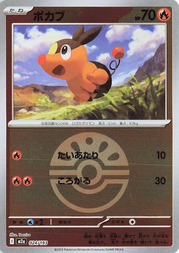 Tepig (Friend Ball Pattern) (024/193)