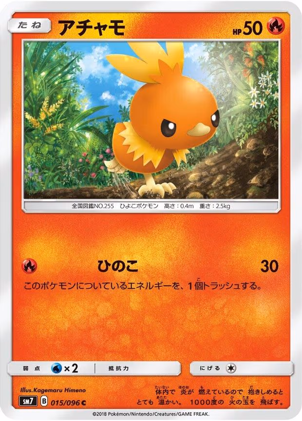 Torchic