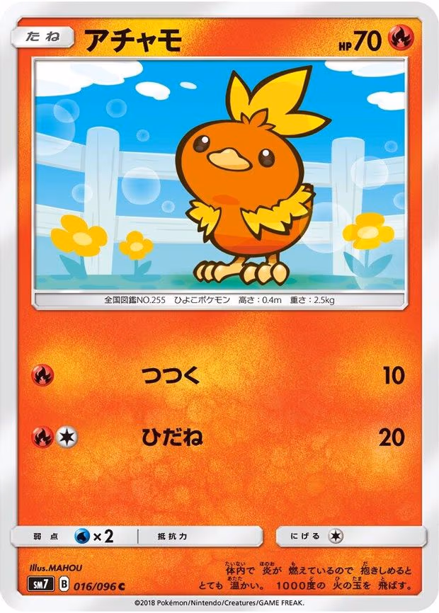 Torchic