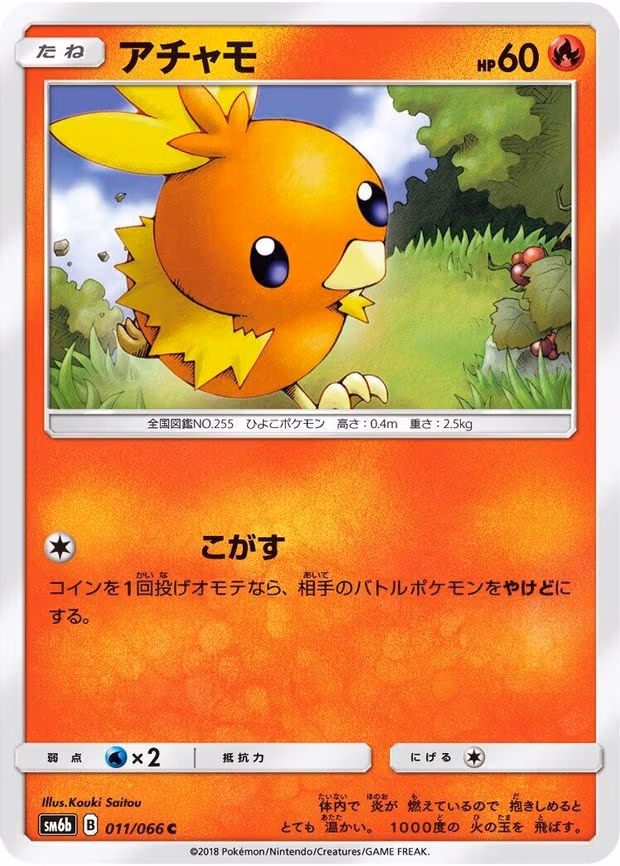 Torchic