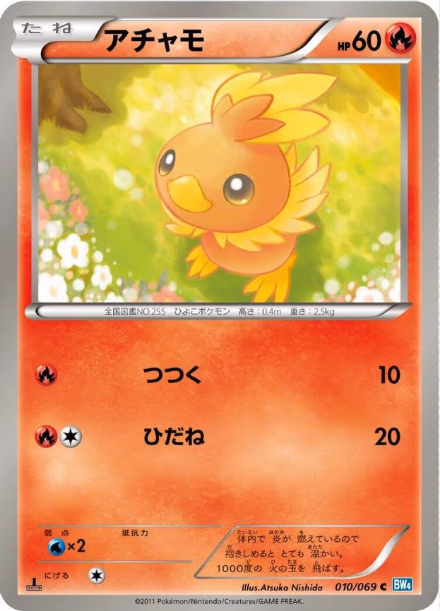 Torchic