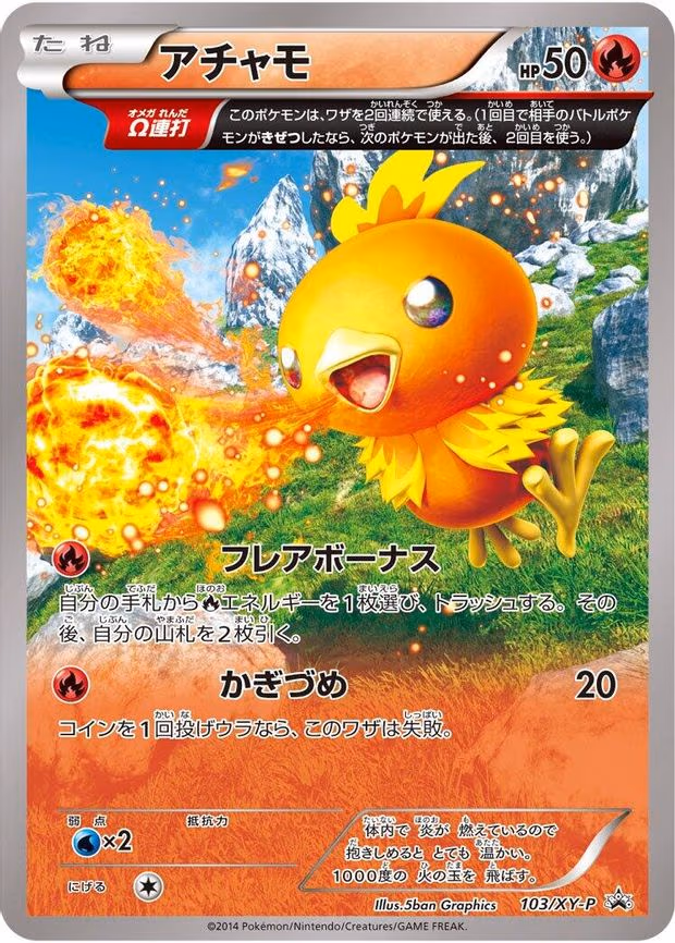 Torchic