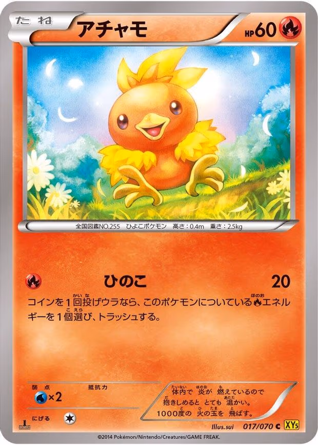 Torchic