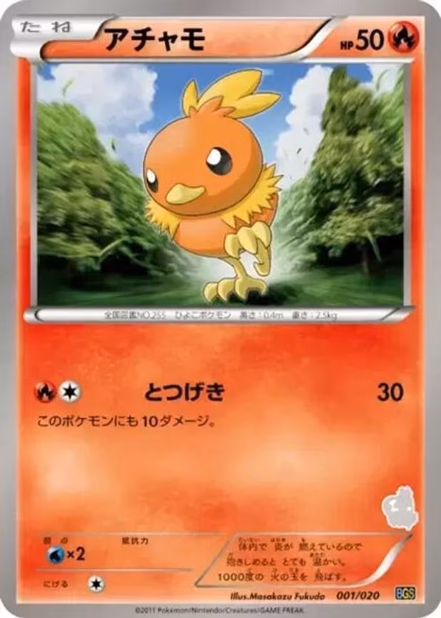 Torchic
