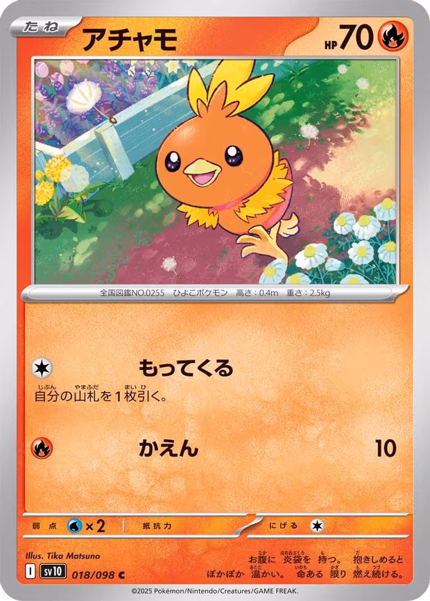 Torchic
