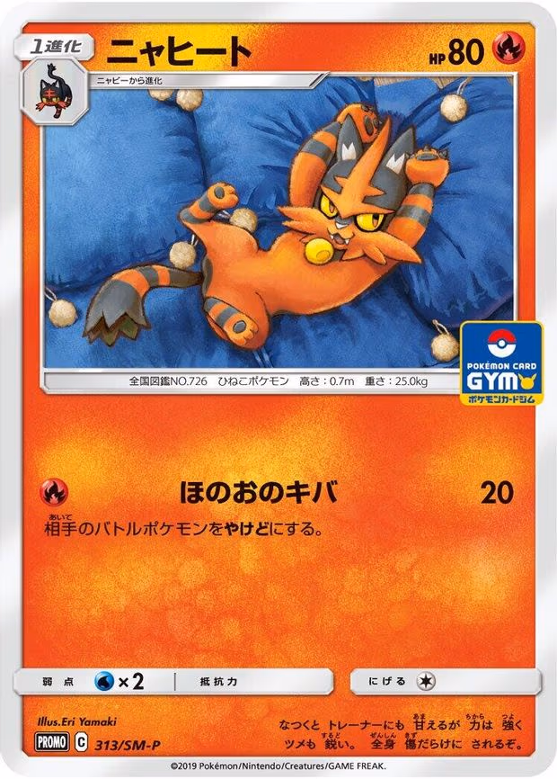 Torracat