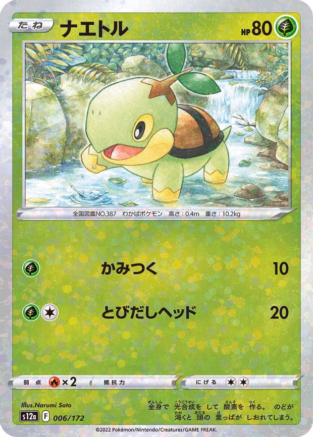 Turtwig - 006/172 (Mirror Holofoil) - None (006/172)