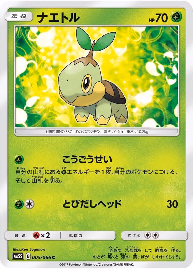 Turtwig