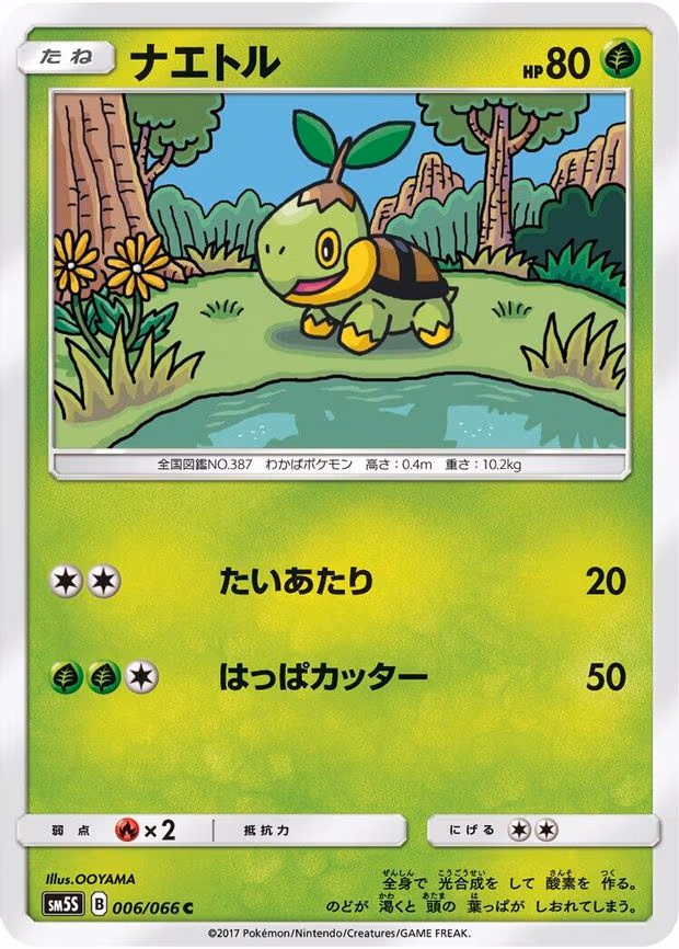 Turtwig