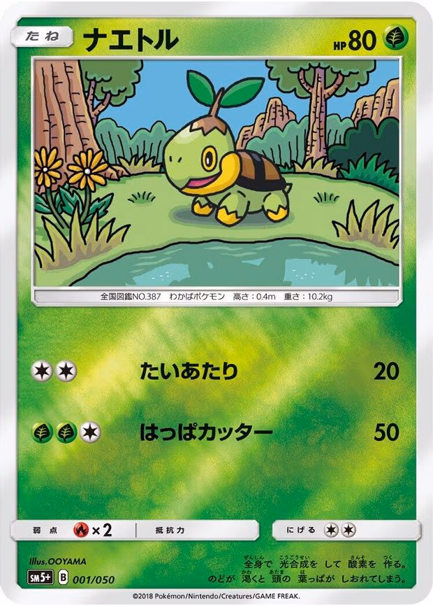 Turtwig