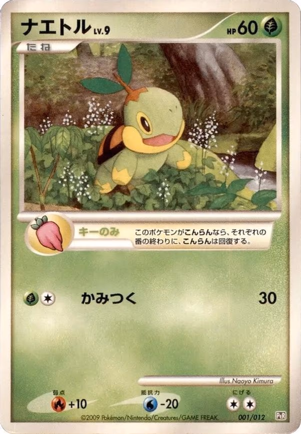 Turtwig