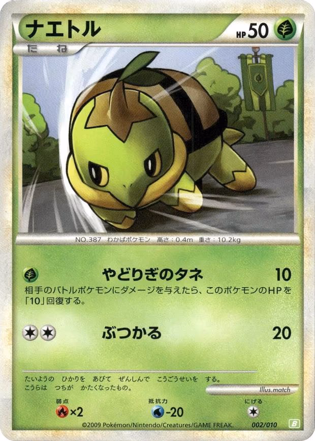 Turtwig
