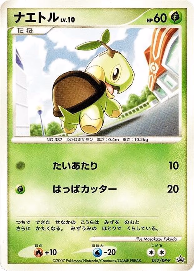 Turtwig
