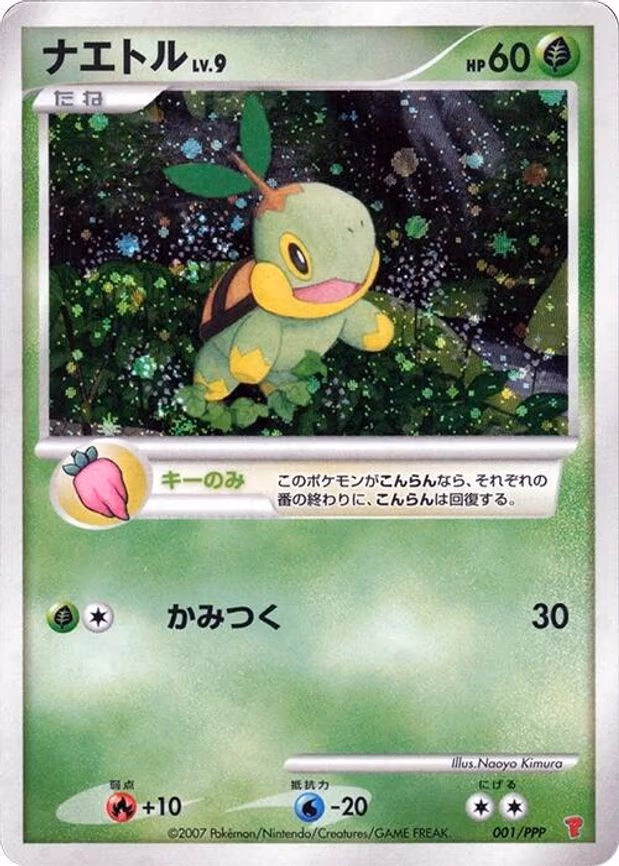 Turtwig