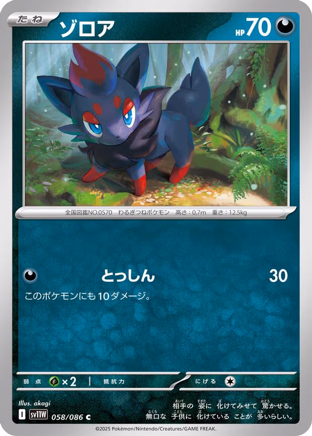 Zorua