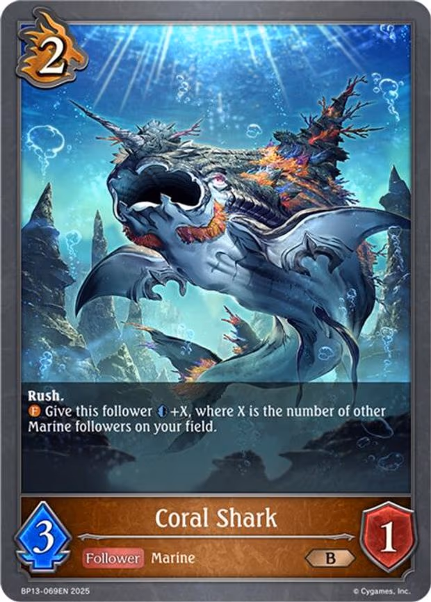 Coral Shark - Bronze (BP13-069EN)