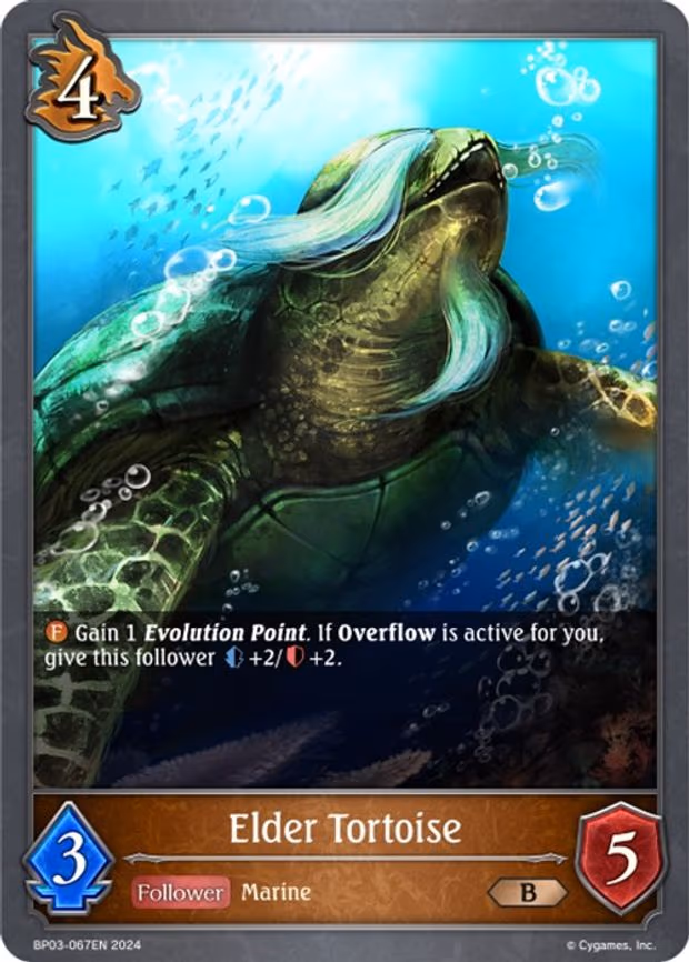 Elder Tortoise - Bronze (BP03-067EN)