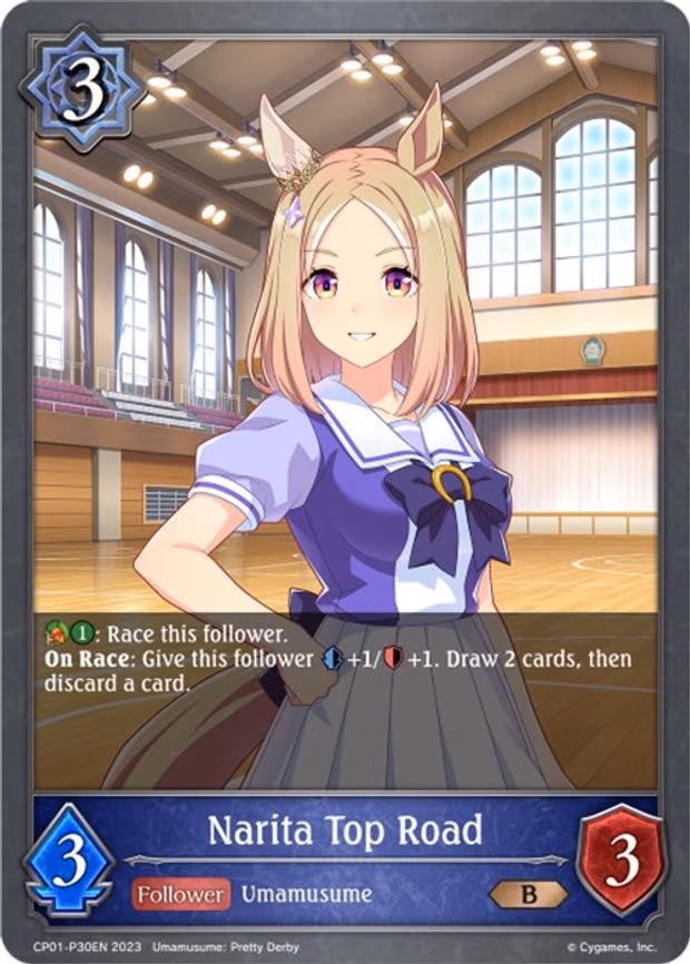 Narita Top Road -P30EN - Premium (CP01-P30EN)