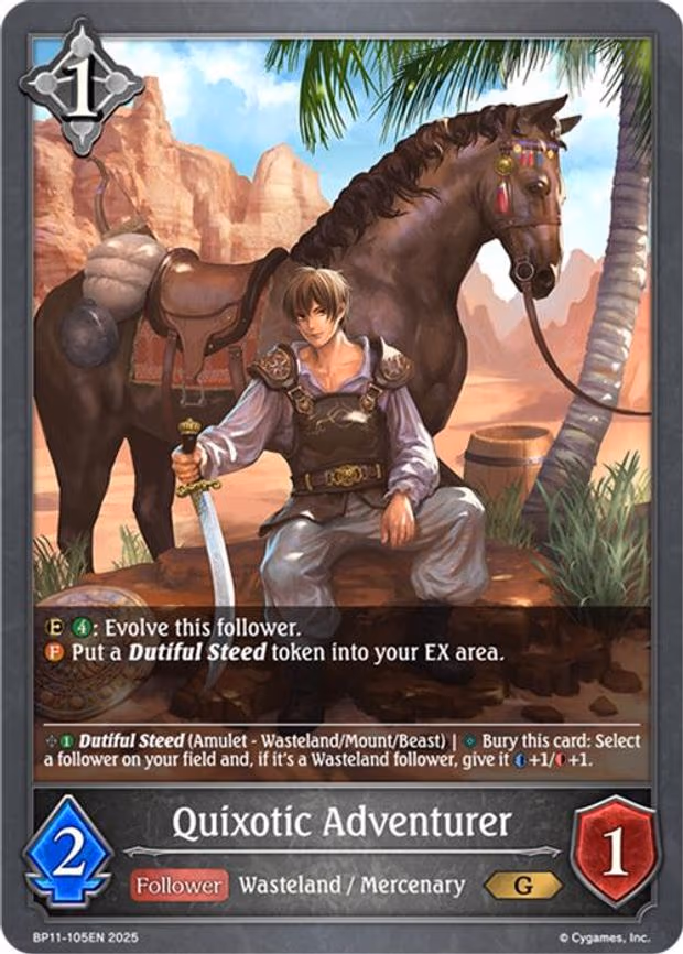 Quixotic Adventurer