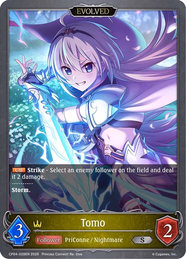 Tomo - Silver (CP04-028EN)