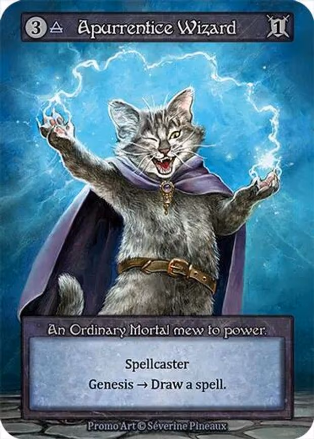 Apurrentice Wizard - Ordinary
