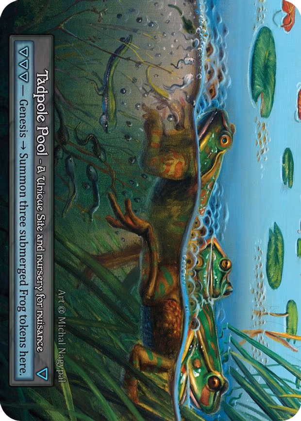 Tadpole Pool - Unique