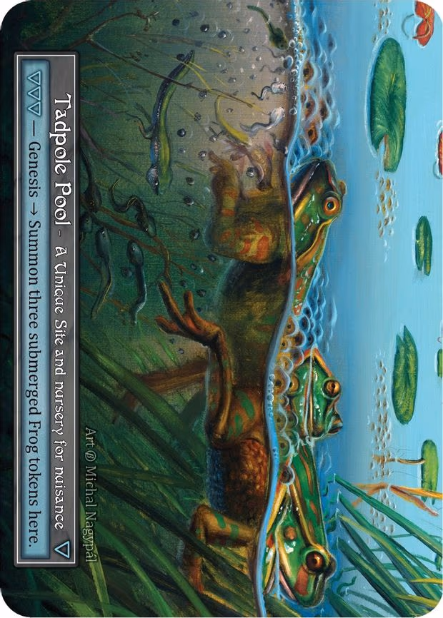 Tadpole Pool - Unique