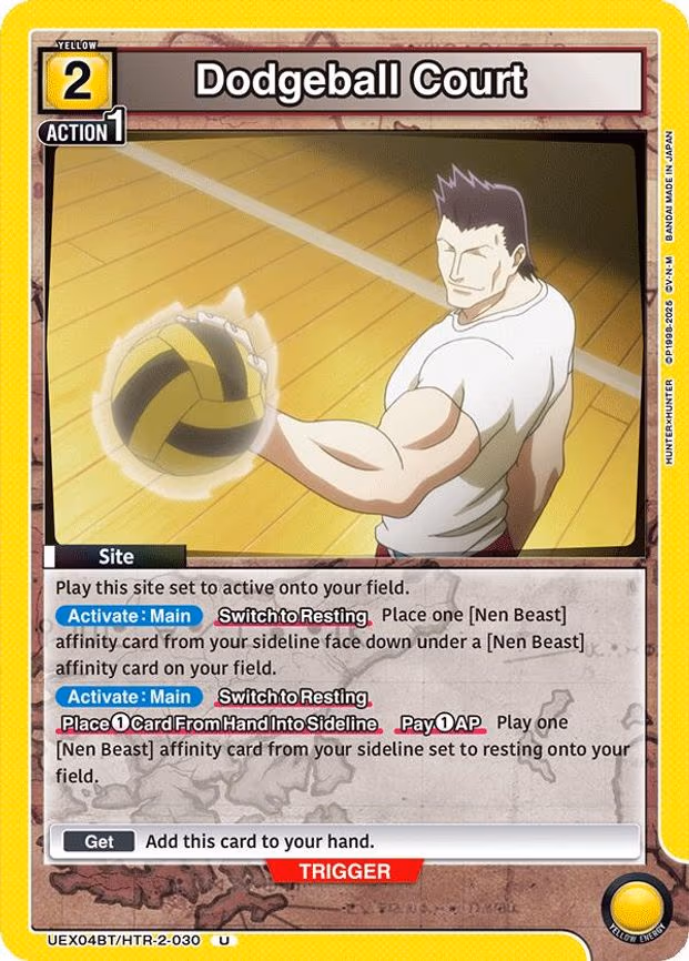 Dodgeball Court