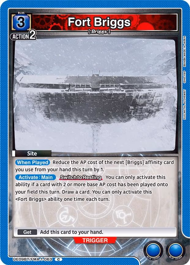 Fort Briggs