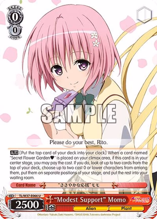 "Modest Support" Momo