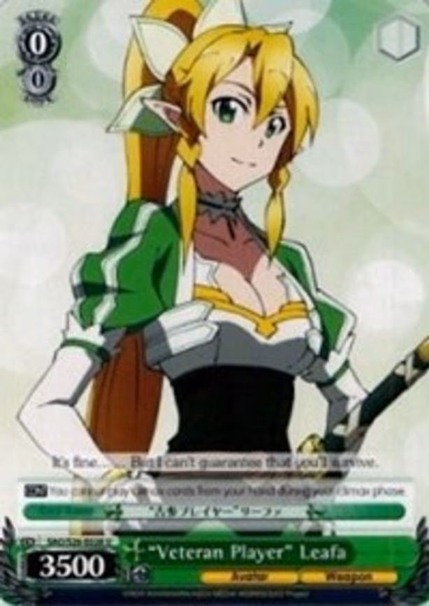 "Veteran Player" Leafa