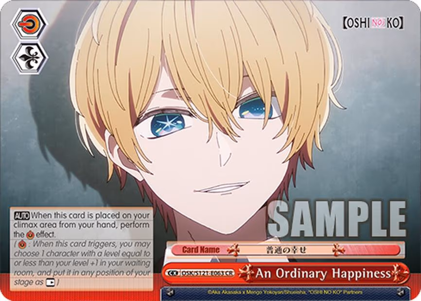 An Ordinary Happiness