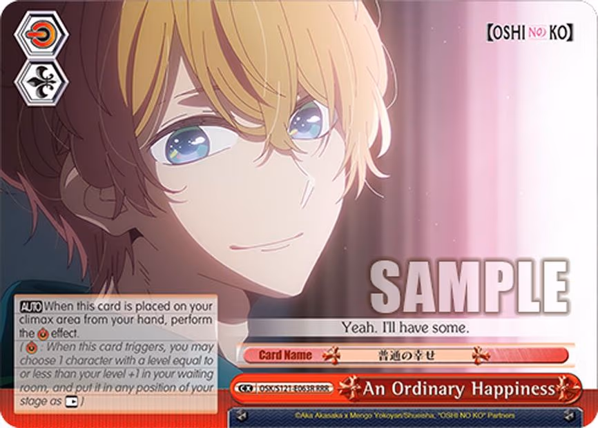 An Ordinary Happiness