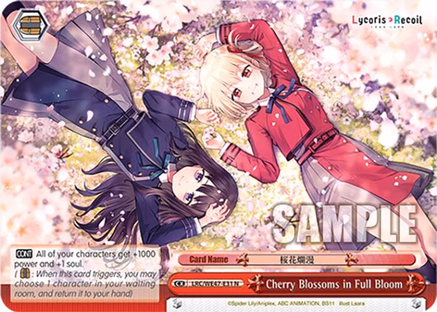 Cherry Blossoms in Full Bloom