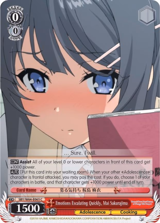 Emotions Escalating Quickly, Mai Sakurajima
