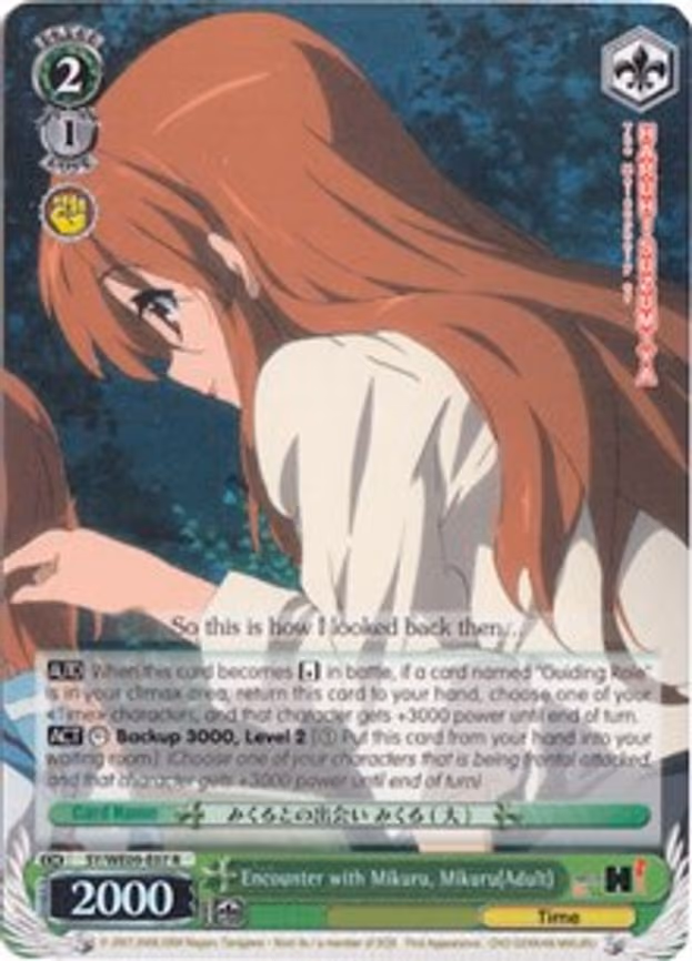 Encounter with Mikuru, Mikuru(Adult)