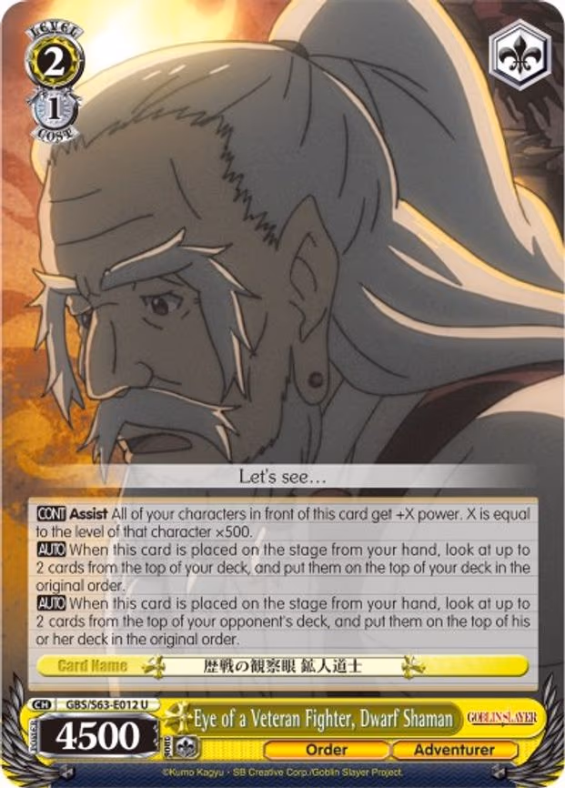 Eye of a Veteran Fighter, Dwarf Shaman