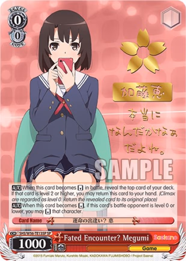 Fated Encounter? Megumi