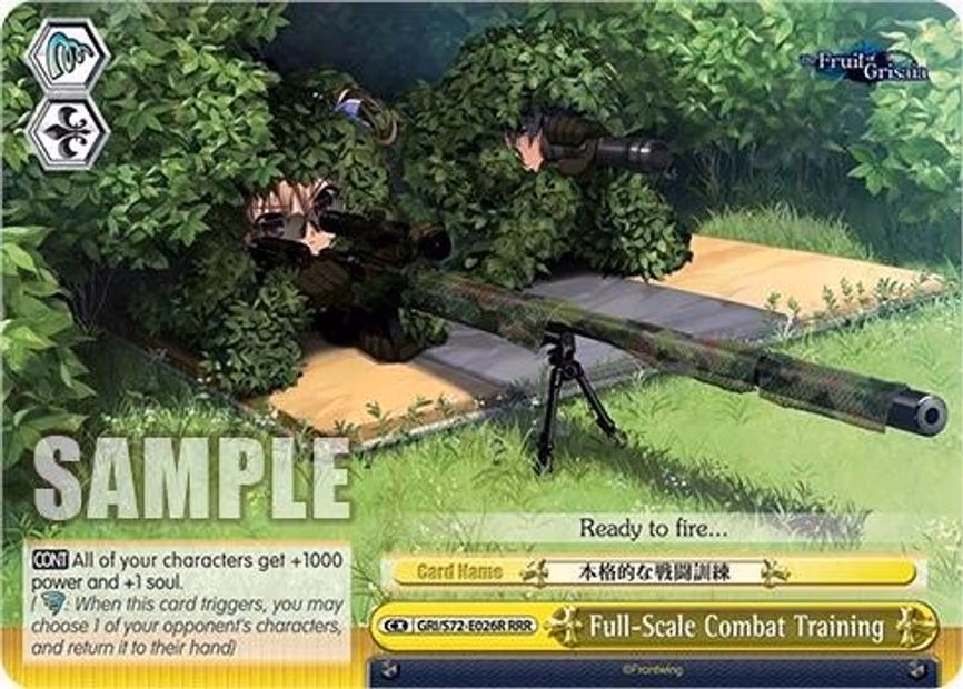 Full-Scale Combat Training