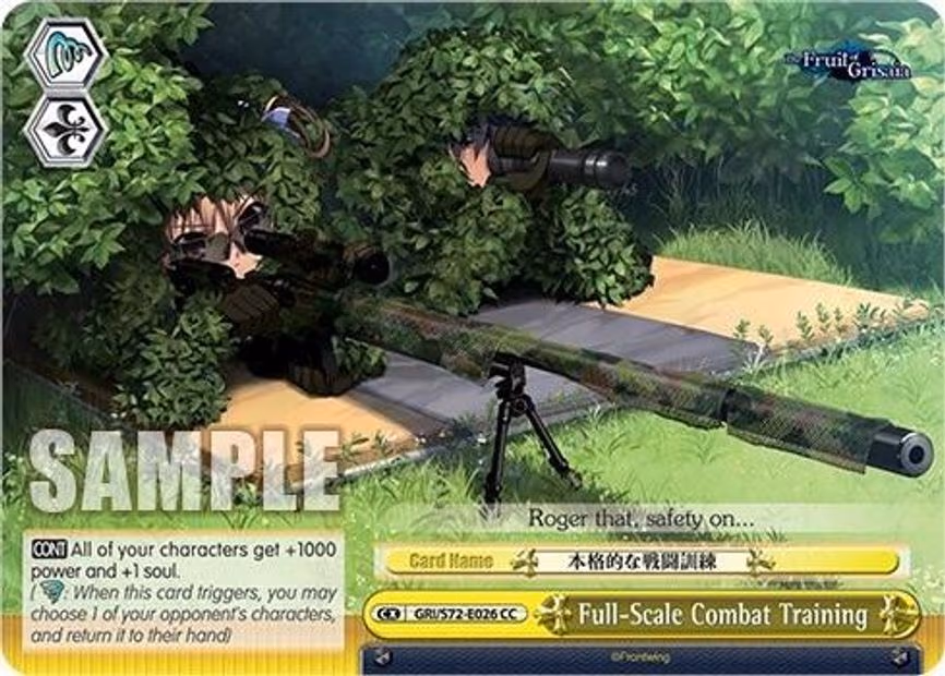 Full-Scale Combat Training