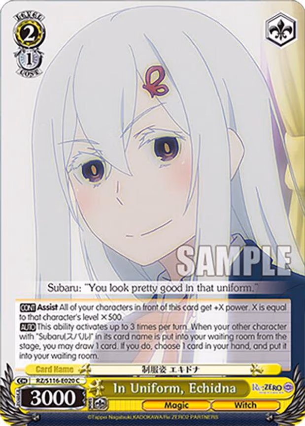In Uniform, Echidna - Common (RZ/S116-E020)