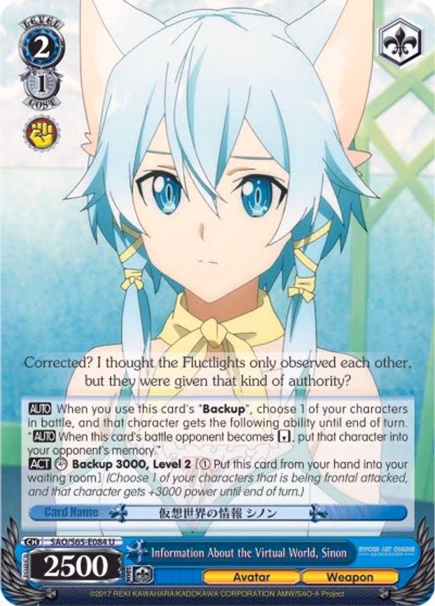 Information About the Virtual World, Sinon