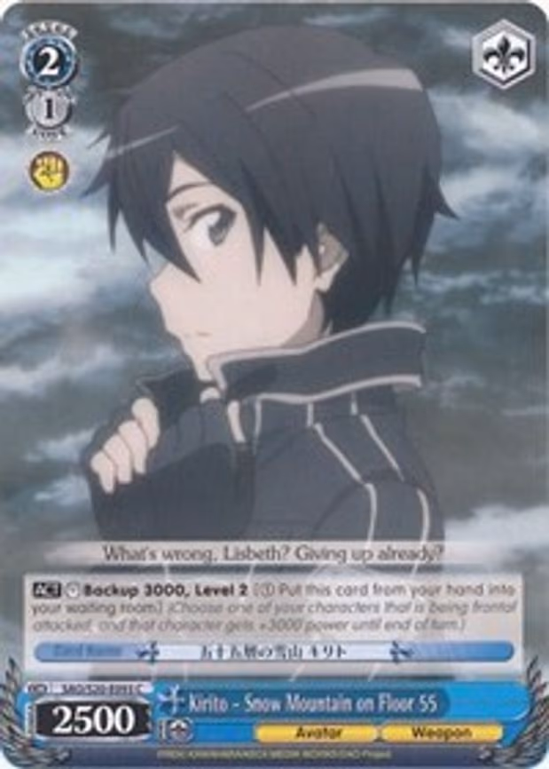 Kirito - Snow Mountain on Floor 55